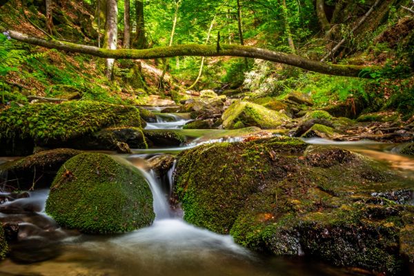 Comment les Réserves Naturelles Boostent et Transforment le Tourisme Écologique